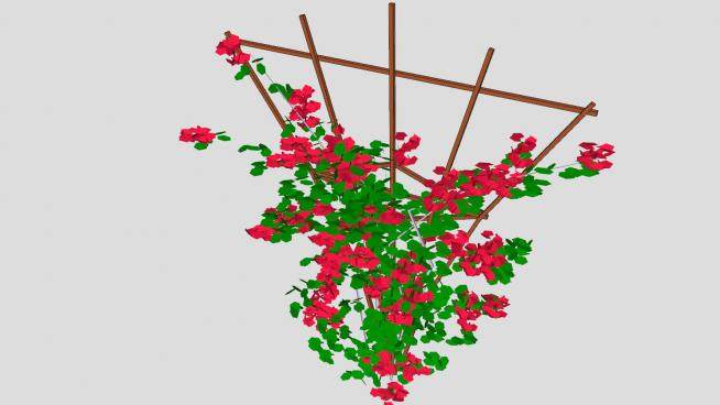 叶子花属红植物SU模型下载_sketchup草图大师SKP模型