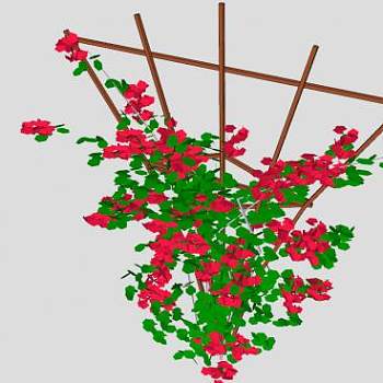 叶子花属红植物SU模型下载_sketchup草图大师SKP模型