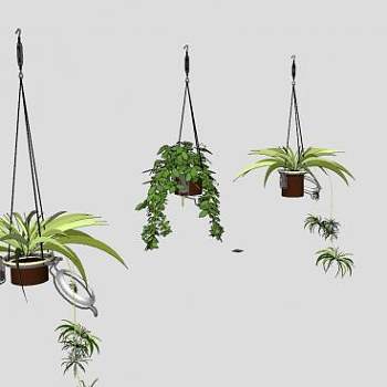 吊盆植物花盆花架SU模型下载_sketchup草图大师SKP模型