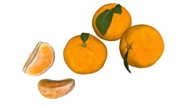 橘子片和橘子SU模型下载_sketchup草图大师SKP模型
