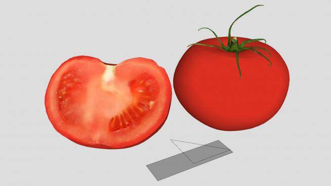 完整和切半的红番茄SU模型下载_sketchup草图大师SKP模型