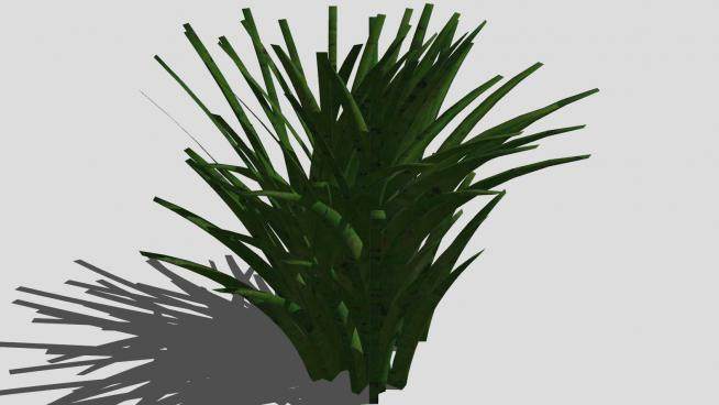 3D草植物SU模型下载_sketchup草图大师SKP模型