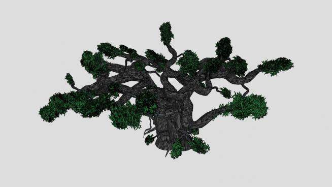 3D盆景黑橄榄树SU模型下载_sketchup草图大师SKP模型