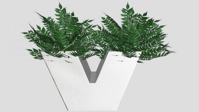 白色V字盆景灌木植物SU模型下载_sketchup草图大师SKP模型