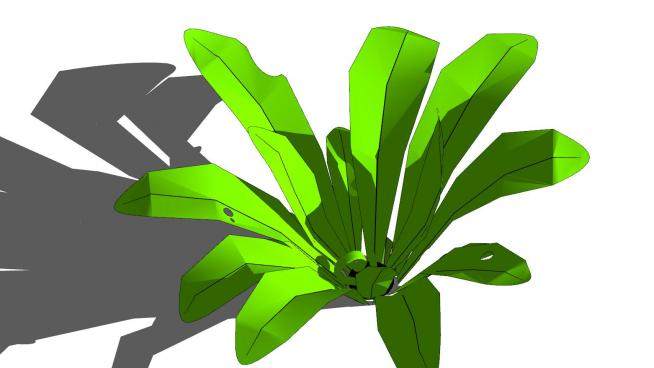 鸟巢蕨蕨类植物SU模型下载_sketchup草图大师SKP模型