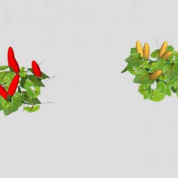 辣椒属植物SU模型下载_sketchup草图大师SKP模型