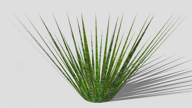 简易绿色植物SU模型下载_sketchup草图大师SKP模型