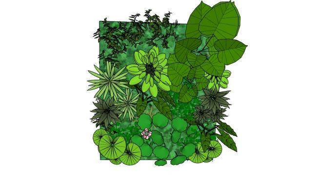 墙壁绿色植物系列SU模型下载_sketchup草图大师SKP模型
