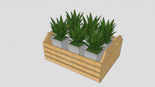 板条箱的植物盆栽SU模型下载_sketchup草图大师SKP模型