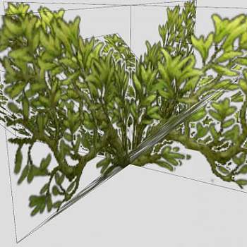 低矮灌木植物SU模型下载_sketchup草图大师SKP模型