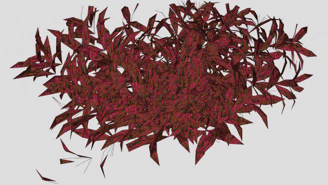 红色树叶植物SU模型下载_sketchup草图大师SKP模型