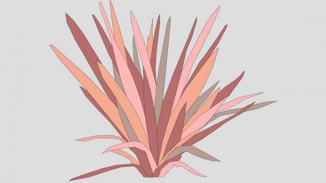 新西兰麻植物SU模型下载_sketchup草图大师SKP模型