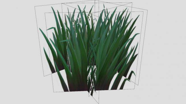 3D长草植物SU模型下载_sketchup草图大师SKP模型