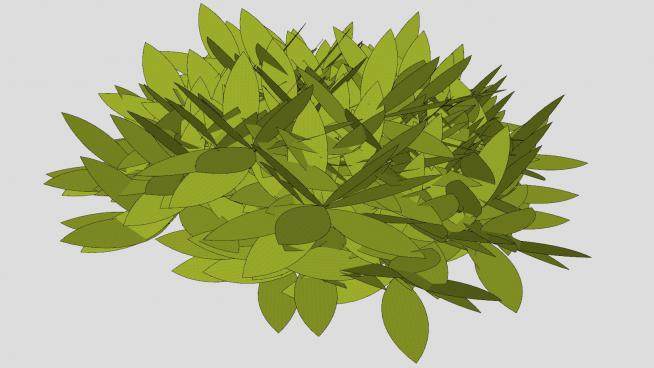 常绿绿叶植物SU模型下载_sketchup草图大师SKP模型