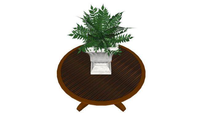 木桌上的盆栽植物SU模型下载_sketchup草图大师SKP模型