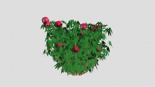 红色绣球花灌木植物SU模型下载_sketchup草图大师SKP模型