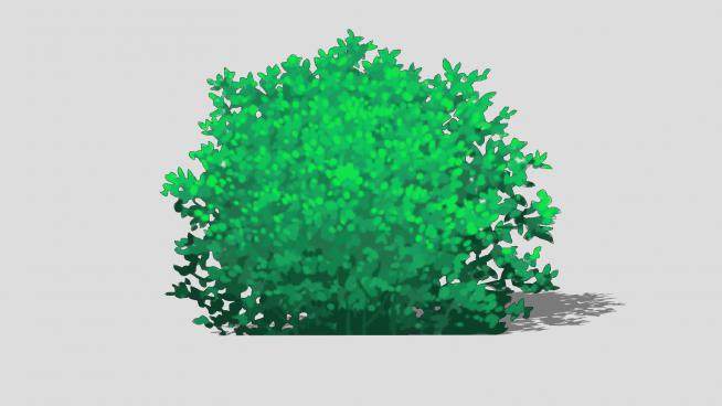绿色2D灌木植物SU模型下载_sketchup草图大师SKP模型