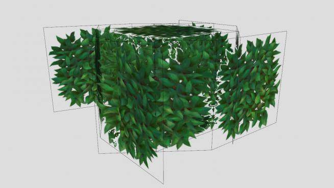 立体常绿灌木植物SU模型下载_sketchup草图大师SKP模型