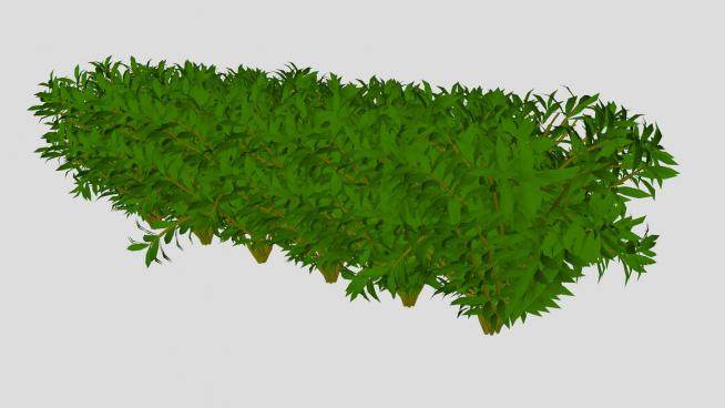 灌木植物景观SU模型下载_sketchup草图大师SKP模型
