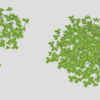 三叶草车轴草属植物SU模型下载_sketchup草图大师SKP模型