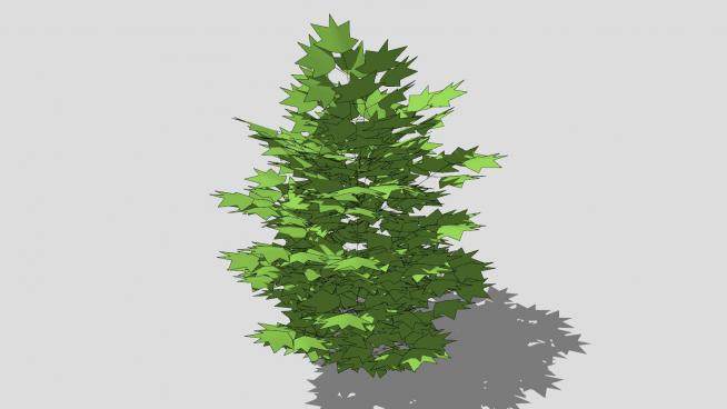 小型灌木植物SU模型下载_sketchup草图大师SKP模型