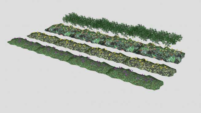 灌木和地被植物SU模型下载_sketchup草图大师SKP模型
