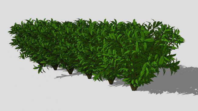绿色灌木丛系列SU模型下载_sketchup草图大师SKP模型