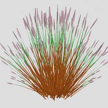 禾本科狼尾草SU模型下载_sketchup草图大师SKP模型