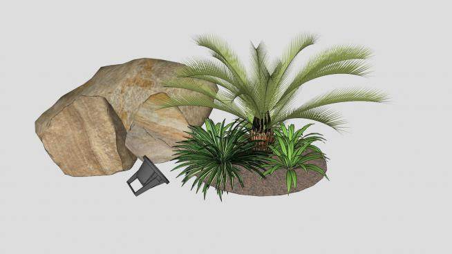花园石景棕榈灌木植物SU模型下载_sketchup草图大师SKP模型