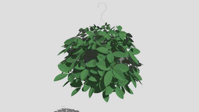 3D悬挂盆栽植物SU模型下载_sketchup草图大师SKP模型