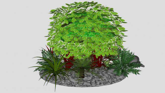 花园观赏植物系列SU模型下载_sketchup草图大师SKP模型