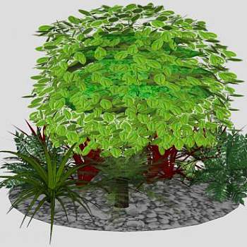 花园观赏植物系列SU模型下载_sketchup草图大师SKP模型