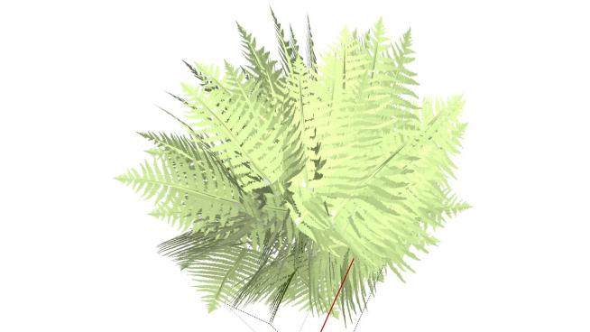 3D绿色蕨类植物SU模型下载_sketchup草图大师SKP模型