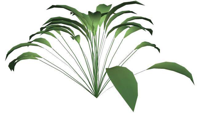 大型常绿观叶植物SU模型下载_sketchup草图大师SKP模型