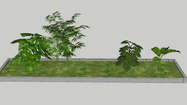 花园种植观赏观叶植物SU模型下载_sketchup草图大师SKP模型