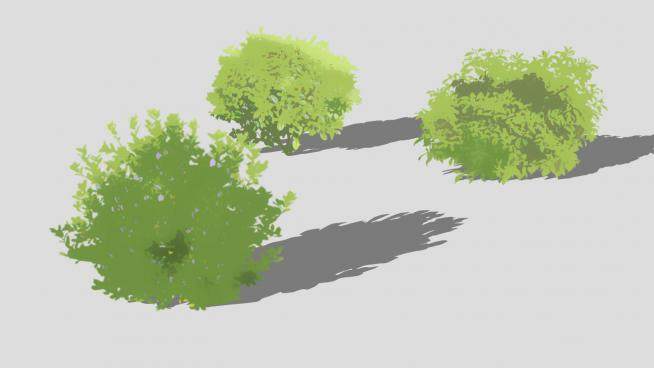 2D绿叶灌木丛SU模型下载_sketchup草图大师SKP模型