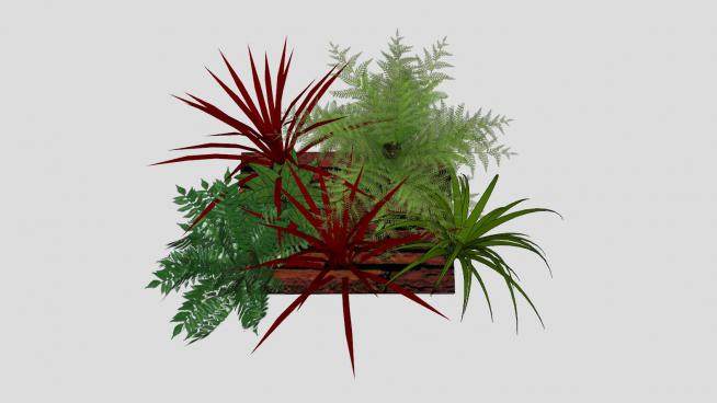 木板墙饰植物种植SU模型下载_sketchup草图大师SKP模型