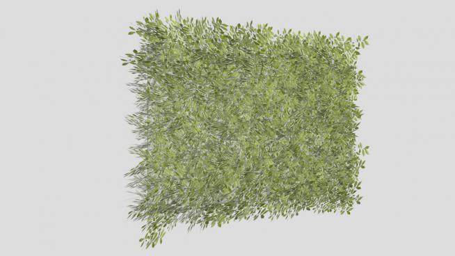 植被植物墙SU模型下载_sketchup草图大师SKP模型