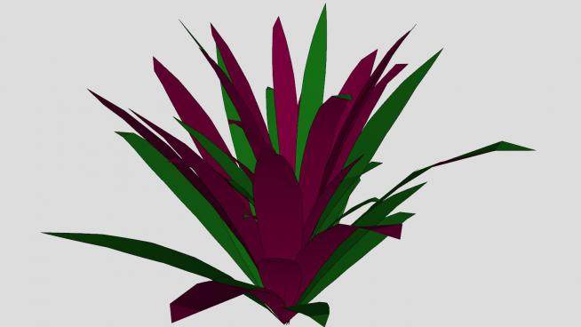 紫鸭跖草草本植物SU模型下载_sketchup草图大师SKP模型