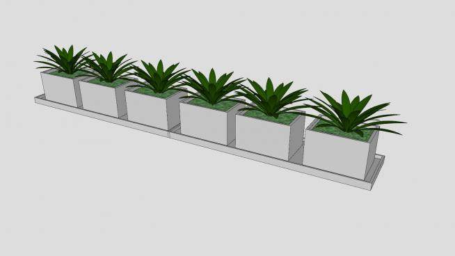 现代排列盆栽植物SU模型下载_sketchup草图大师SKP模型