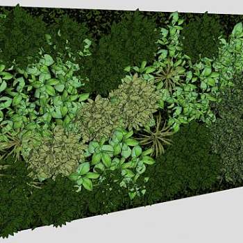 垂直观赏植物墙SU模型下载_sketchup草图大师SKP模型