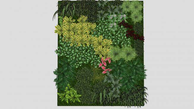 蕨类植被垂直花园墙SU模型下载_sketchup草图大师SKP模型
