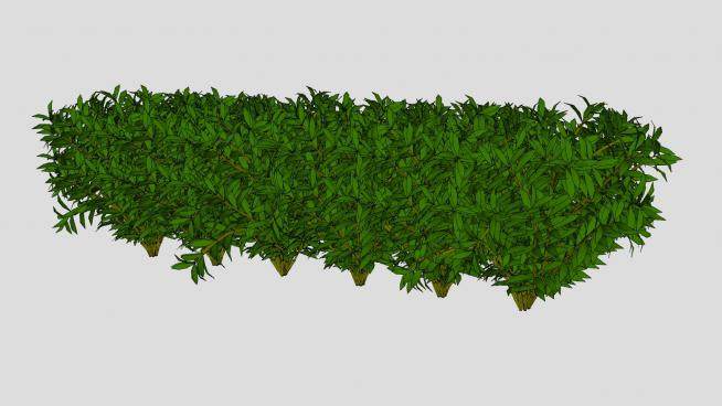 一排灌木丛植物SU模型下载_sketchup草图大师SKP模型
