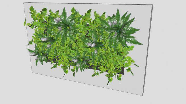 绿色植物艺术墙SU模型下载_sketchup草图大师SKP模型