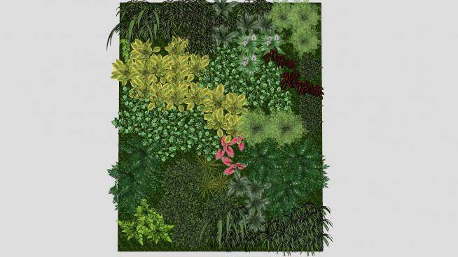 绿叶观赏植物垂直花园SU模型下载_sketchup草图大师SKP模型
