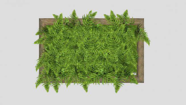 木框蕨类植物墙饰SU模型下载_sketchup草图大师SKP模型