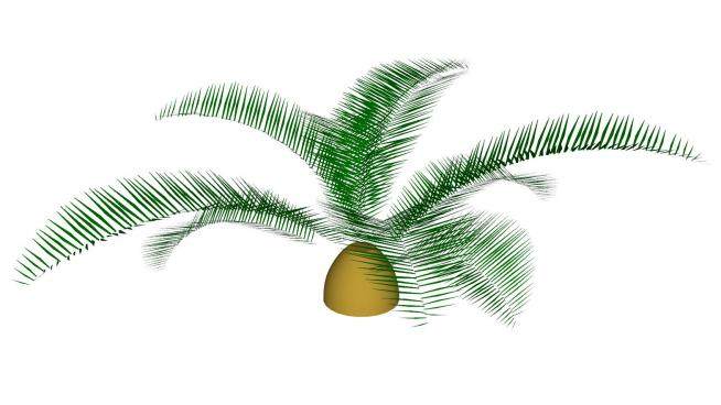 单子叶棕榈植物SU模型下载_sketchup草图大师SKP模型