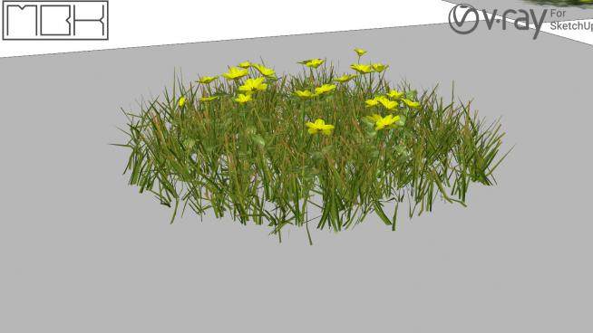黄色花卉植物SU模型下载_sketchup草图大师SKP模型