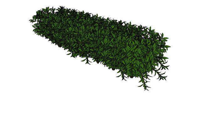 一排绿色的灌木SU模型下载_sketchup草图大师SKP模型