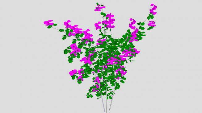 紫色轻质花卉灌木SU模型下载_sketchup草图大师SKP模型